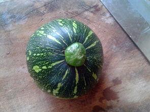 娱乐吃瓜湖南,吃瓜群众的热门话题盘点