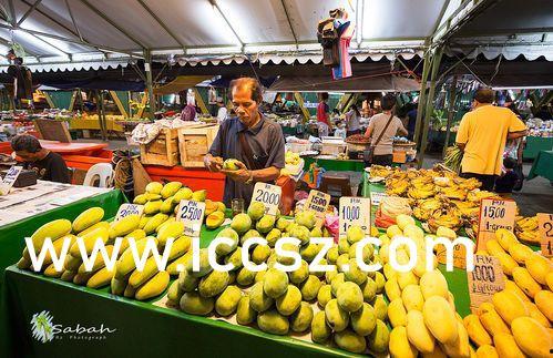 国产精品香蕉在线